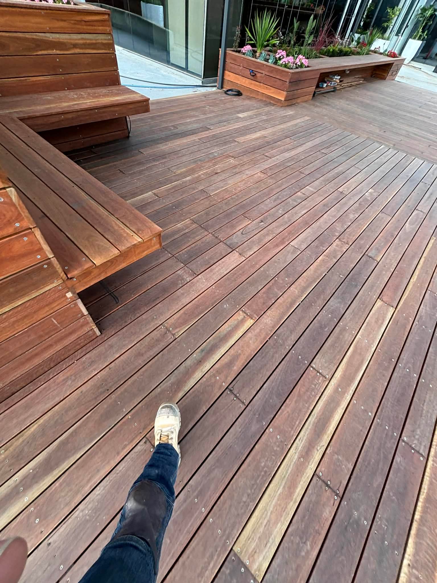 Spotted Gum